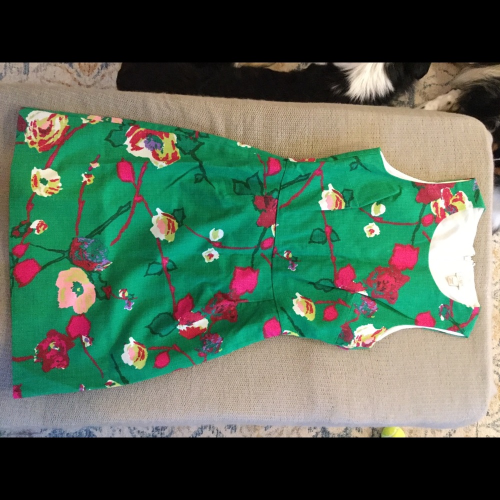 J.Crew Green Dress